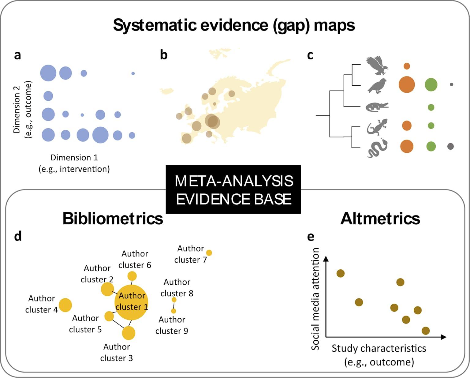  Automated Evidence Synthesis