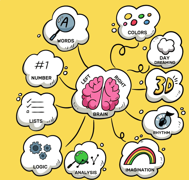 Seamlessly Import and Visualize