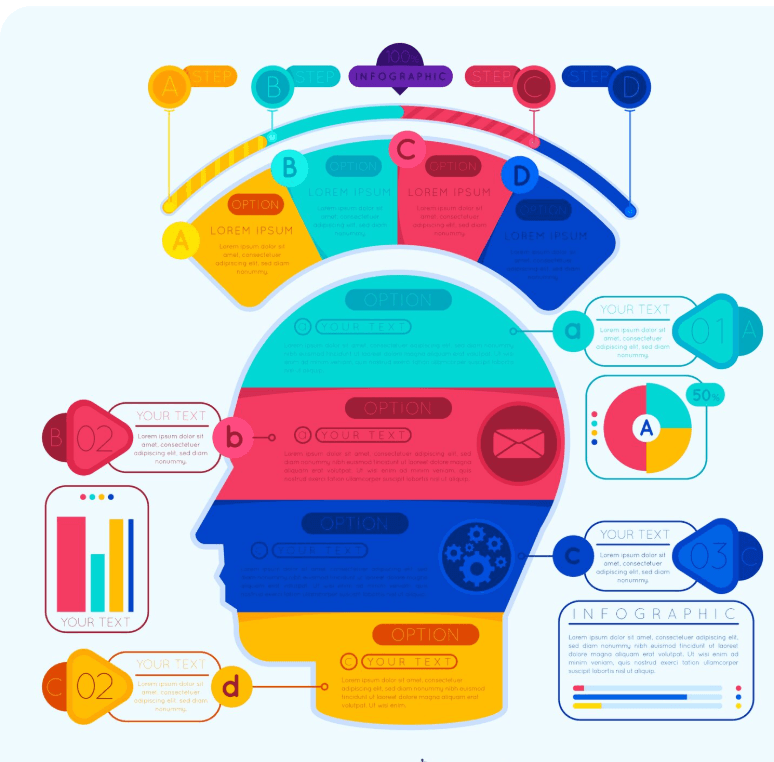 Interactive Knowledge Graph Generation